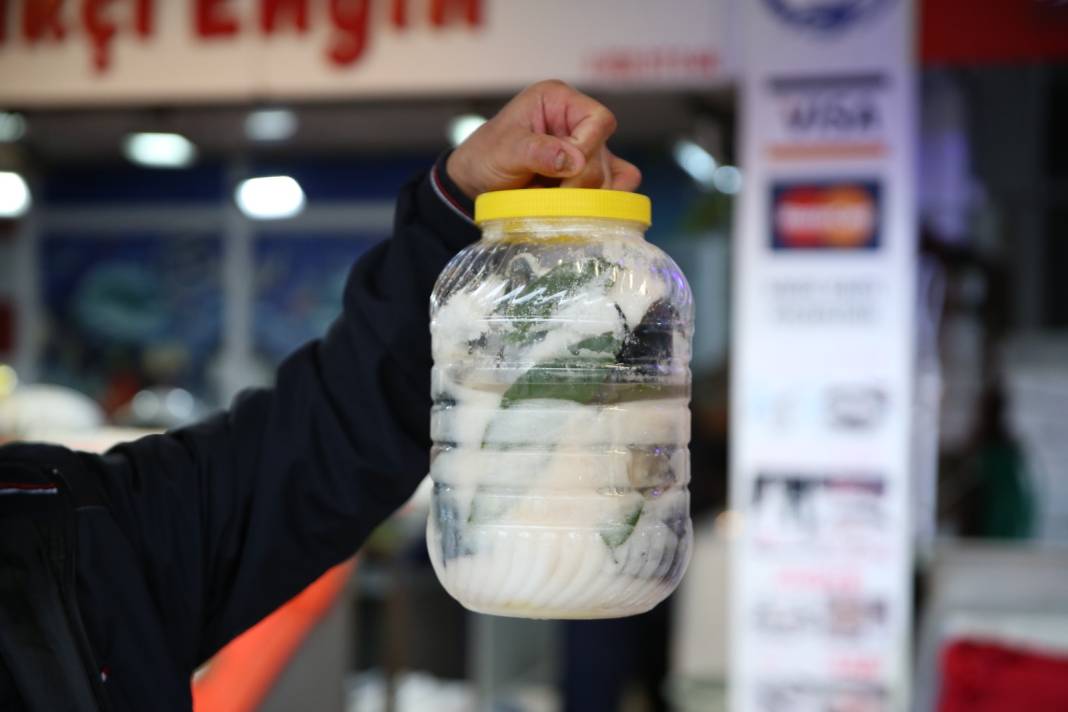 Palamudu 1500 liraya satıyorlar: Bu haliyle 1 yıl dayanıyor 7